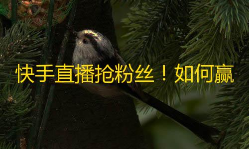 快手直播抢粉丝！如何赢得快手粉丝关注？