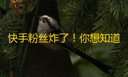 快手粉丝炸了！你想知道这里面有什么秘密吗？