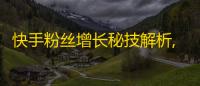 快手粉丝增长秘技解析,25个实用建议可供参考