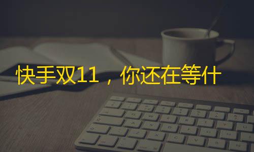 快手双11，你还在等什么？收获海量粉丝，成为大主播！