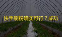 快手刷粉确实可行？成功经验分享！