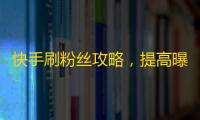 快手刷粉丝攻略，提高曝光率，增加互动，让你成为快手达人！