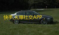 快手,火爆社交APP，助力提高影响力