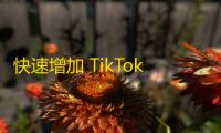 快速增加 TikTok 粉丝的小技巧