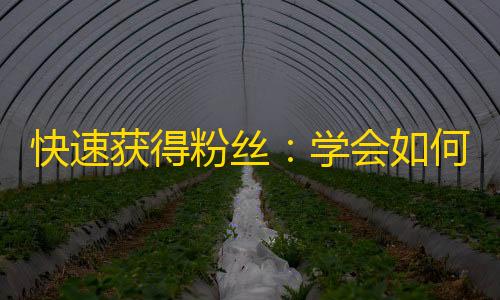 快速获得粉丝：学会如何吸引更多粉丝在抖音上关注你！