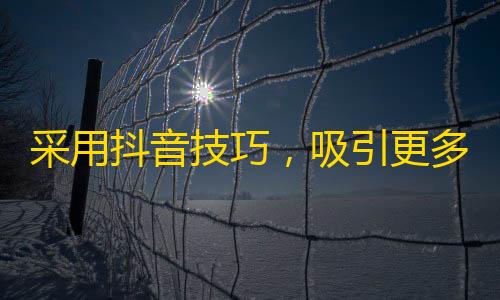 采用抖音技巧，吸引更多粉丝！