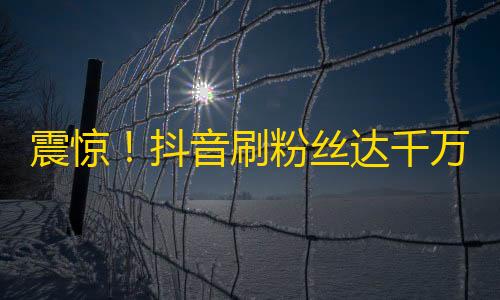 震惊！抖音刷粉丝达千万，如何实现？