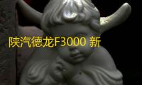 陕汽德龙F3000 新M3000 X3000 L3000大货车专用汽车吹尘枪吹气枪